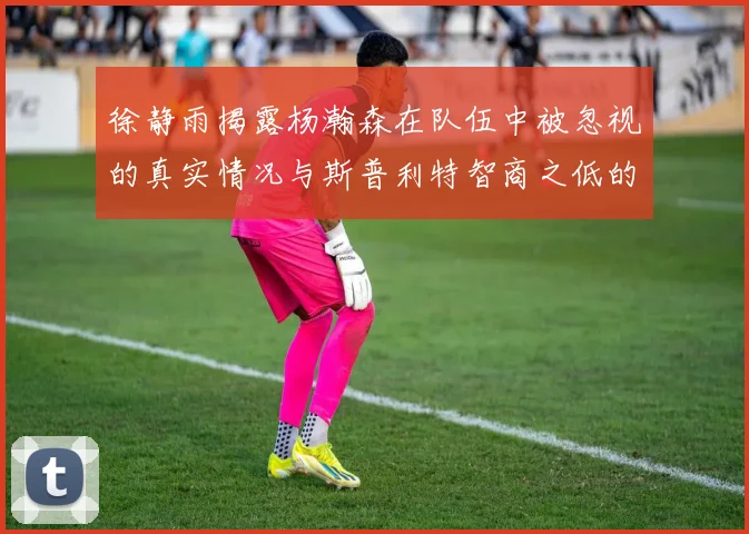 徐静雨揭露杨瀚森在队伍中被忽视的真实情况与斯普利特智商之低的尴尬真相